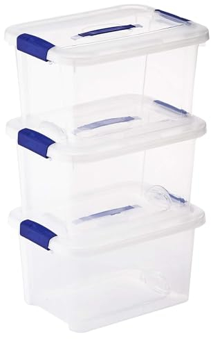 TIENDA EURASIA® Cajas de Almacenaje de Plastico - Lote 3 Cajas Apilables con Tapa Abatible y Asas - Ideal para Almacenar los Productos del Hogar, Ropa, Juguetes (M - 43 x 33 x 24 cm - 21L)