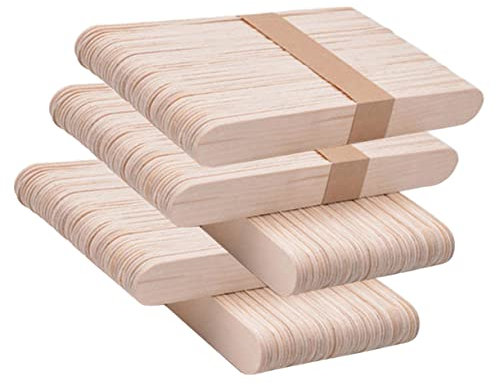 PHENOFICE 250stücke Holzstäbchen Für Basteln Kindergartendiy Bastelstäbchen Naturholz Stäbchen Für Diy Handwerk Projekt Materialien