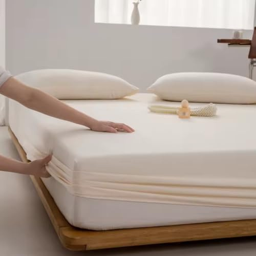 Lenzuolo Sotto Con Angoli Elasticizzato 100% Cotone Per Letto Tinta Unita h 25 cm (Bianco, Singolo)