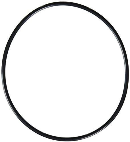 Hayward SX200Z6 O-Ring Ersatz für Select Hayward Sandfilter