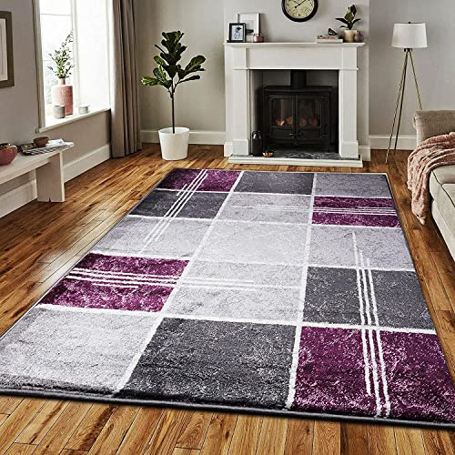 PHP Super Soft Rugs for Living Room Bedroom Rug - Thick Dense Pile Non Shed Fluffy Rug For Bedroom - Small Medium Large Carpet Area Rugs Kitchen Floor Mat (80 x 150 cm (2ft 8 x 5ft), Purple)