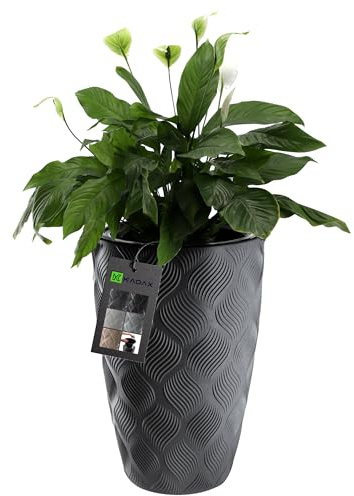 KADAX Blomkruka med insats och handtag, växtkruka av plast i 5 storlekar, UV-resistent kruka, väderbeständig växtvas hög, kruka med 3D-effekt (antracit hög)