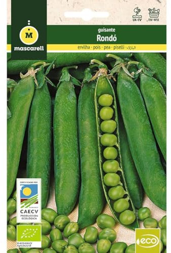 Mascarell Semillas, GUISANTE RONDO, Semillas Ecológicas, 30 Gramos