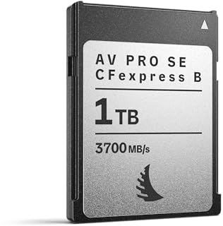 Angelbird AV Pro SE CFexpress B v4 MK2 1TB – Carte mémoire Type B, 3700Mo/s Lecture, 2300Mo/s écriture, Stable Stream™, 12K RAW, Protection Thermique, résistante aux Chocs et à l’humidité