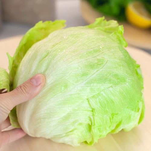 semi di lattuga iceberg biologici - resistenti fresca da giardino vecchie varietà 200pcs