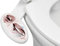 LUXE Bidet NEO 320 – Warm- und Kaltwasser, selbstreinigend, Doppeldüse, nicht elektrischer Bidet-Aufsatz für Toilettensitz, einstellbarer Wasserdruck, Heck- und Feminine-Waschung, Hebelsteuerung