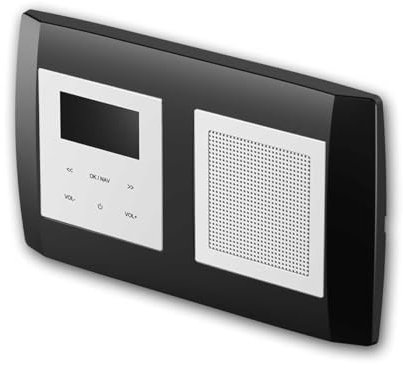 LOGIQ Unterputz Radio mit 2W RMS Lautsprecher, DAB+, UKW und Bluetooth, OLED-Display, Weck- und Sleeptimer, Lieferung mit 2-Fach Rahmen Bold, schwarz
