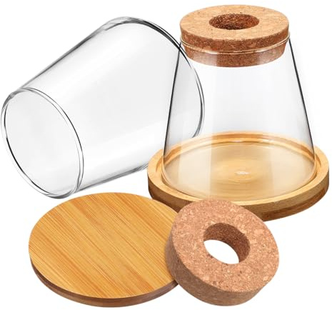 ROMISBABA 2 pièces Station de Propagation Hydroponique Vases Verre Transparent avec Support Jardinières Compactes pour Plantes Dintérieur et Terrarium Décoratif