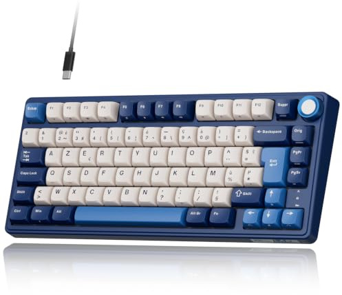 RK ROYAL KLUDGE R75 Clavier Mécanique, Clavier Gamer Filaire 75% AZERTY avec Gasket Mount, Molette de Volume, Switch Creamy Linéaire Hot-Swap, Touches PBT, Rétroéclairage RGB pour Windows/Mac/PC
