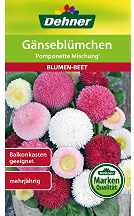 Dehner Blumen-Saatgut, Gänseblümchen Pomponette Mischung, 5er Pack (5 x 0.2 g)