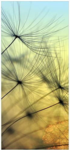 posterdepot Türtapete Türposter Samen der Pusteblume in Nahaufnahme vor blauem Himmel - Größe 93 x 205 cm, 1 Stück, ktt0754