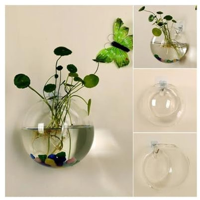 Terrarien für Blumenkübel Transparente Glasvase für Aufhängen an der Wand, Hydrokultur-Terrarium, Fischtanks, Topfpflanze, Blumentopf, Durchmesser 8 cm/10 cm/12 cm Flaschengarten(8cm)
