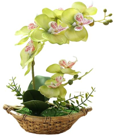 Generico 1 Pezzo Orchidee Bianche Artificiali in Vaso Simulazione Viola in Vaso Orchidea Farfalle Composizione Floreale Decorative Arredamento per la Casa Orchidea Verde 27 cm (verde)