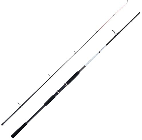 WFT XK Bone Pro Plattfisch Boat 40-150g 2,60m 2-TLG - Bootsrute, Meeresrute, Steckrute