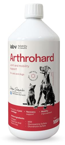 Lab-v Arthrohard – Flüssiges Ergänzungsfuttermittel für Hunde & Katzen – mit Glucosamin, Chondroitin, Kollagen & MSM – 1000 ml für Gelenke & Beweglichkeit