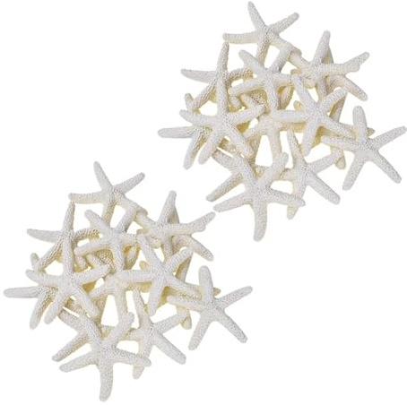 Coquilles de mer Coquilles de mer Mixtes, Coquillages for l'artisanat 30 pièces étoiles de mer Crayon Blanc crème for la décoration de Mariage, la décoration intérieure et Le Projet d'artisanat