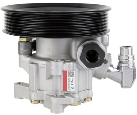 PPGZCZSE Servolenkungspumpe, kompatibel mit Mercedes W164 R350 CLS550 ML350 GL550 GL450 E350 E550 0054662201 A0054662201 A5410242100 A541024210060