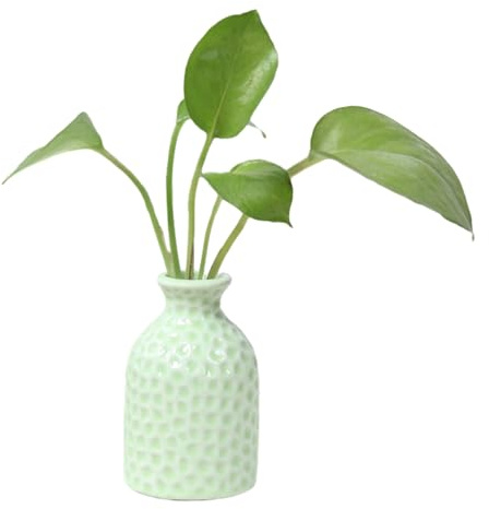 VALINK Pequeños jarrones de cerámica para flores, jarrón decorativo, mini jarrón de cerámica de escritorio, jarrón de cerámica floral, decoración para el hogar, dormitorio, verde