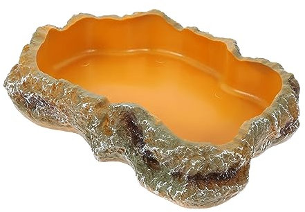 Toyvian Abreuvoir pour Serpent Bol pour Reptile Bassin Alimentation pour Tortue Décoration De Terrarium