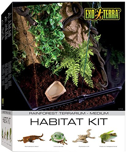Exo Terra Rainforest Habitat Kit, Terrarien Starter Set Regenwald, inkl. Abdeckung, Thermometer, Hygrometer, 2 künstlichen Pflanzen, Bodengrund, Wassernapf, 2 Lianen, 45 x 45 x 60cm