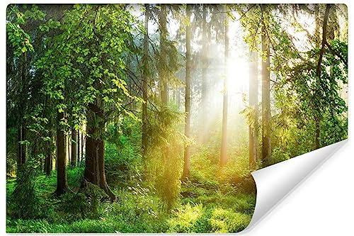 Muralo Fototapete Selbstklebend 3D, Wald, Wandtapete - 104x70.5 cm | Beeindruckendes 3D-Design, hochauflösender Druck - ideal für Wohnzimmer und Schlafzimmer, Ein außergewöhnliches Raumerlebnis