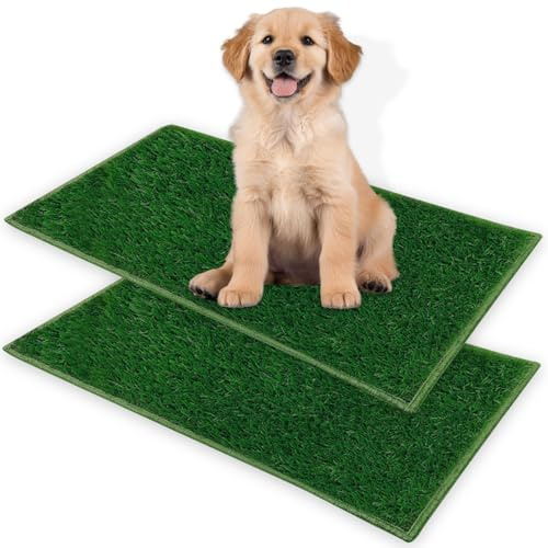 CIGAA 2 stycken hundtoalett, valptoalett, träningsunderlägg, 46 cm x 35,6 cm, återanvändbar valplåda, gräs, pee pads för små stora äldre hundar