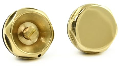 Hot Flow | 1/2 inch Radiator Bleed Valve & Blanking Plug Unlacquered Brass. Designed to Efficiently Manage Air & Maintain Your Heating Systems Integrity. Prevents Cold Spots, Noise & Corrosion.