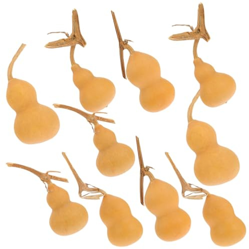 COOPHYA Zucche Naturali Ornamentali 10 Pezzi Mini Zucche 4-6 CM per Decorazioni Feste e Casa Artigianali Stili multipli