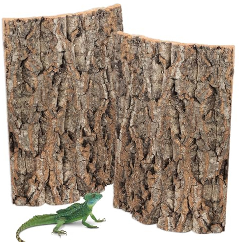 UOSIWYA 2 pezzi corteccia di sughero, terrario, parete posteriore per tartarughe, accessori 30 x 20 cm, pezzi di sughero, corteccia d'albero, terrario, decorazione di sfondo naturale, effetto