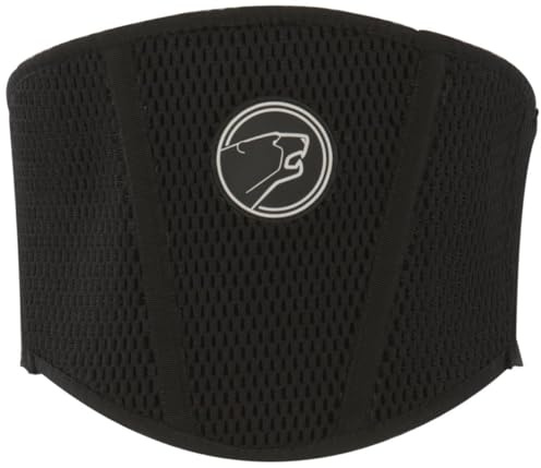 BERING Lumbar Cintura