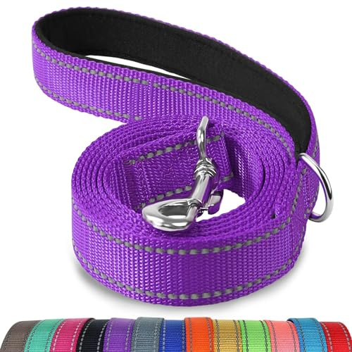 Joytale Laisse Double Face Réfléchissante Robuste pour Chien, avec Poignée Rembourée,1.2m x 2cm,Violet