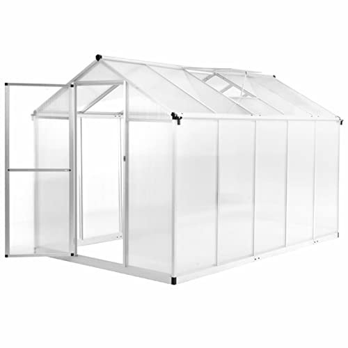 Yolola Invernadero Transparente de Jardín Terraza, Invernadero de Plantación, Cobertizo Invernadero de Aluminio y Acero, Gris Antracita 302 x 190 x 195 cm