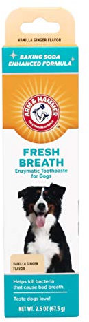 Arm & Hammer Fresh Breath Enzymatic Toothpaste for Dogs, Vanilla Ginger 67.5 g (Pack of 1)