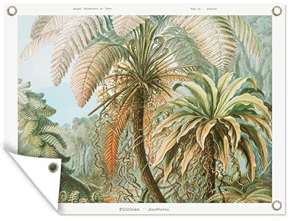 MuchoWow Outdoor-Poster Poster Wanddeko draußen Deko Garten Gartenposter 120x90 cm Vintage - Alte Meister - Farne - Pflanzen - Natur