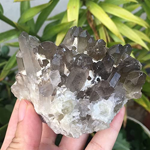 CZAOINCU Piedra de Roca y Cristal Natural de Cuarzo Ahumado, Adecuado for Piedras Decorativas for el hogar Inicio Colecciones