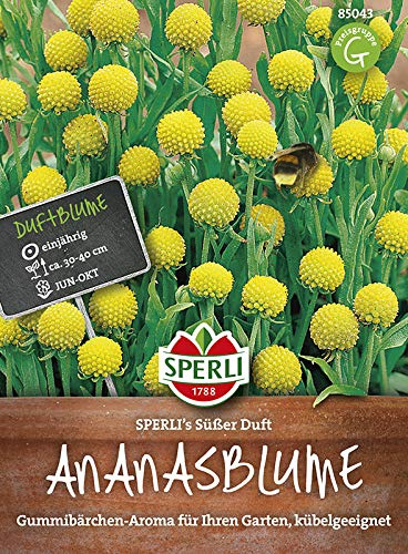 Sperli Ananasblumensamen SPERLI's Süßer Duft 85043, Sommerblumensaat | Nützlingsfreundlich, fruchtig- intensiver Gummibärchen Duft, Blumenwiese, insektenfreundlich