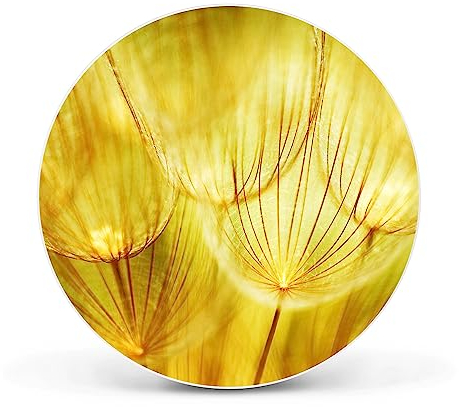 banjado Magnettafel Ø 47cm Weiß - Magnetwand aus Metall - Magnetpinnwand als Memoboard - Pinnwand Magnettafel Küche, Büro, Kinderzimmer inkl. 4 Magnete & Montageset - Pusteblumen Gold