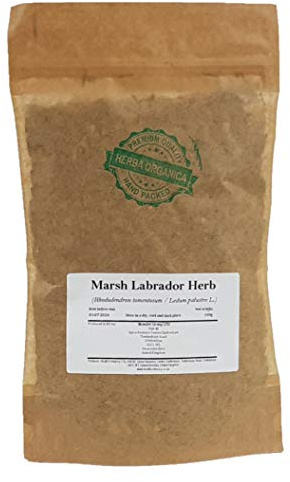 Herba Organica Marsh Labrador Herb - Rhododendron Tomentosum - Ledum Palustre (100g)