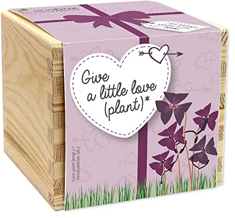 Feel Green - WE CREATE NATURE ecobox, Herzblattklee Give a little love (plant), Pflanzen Aus Der Holzbox 11x11x10cm, Made in Austria, Nachhaltige Geschenkidee, Grow Your Own/Anzuchtset
