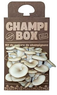 Kit di coltivazione di funghi Bio Champibox - Funghi ostriche Made in France - Ecologico, Gourmand ed Educativo, idea regalo originale e naturale per tutti, certificato biologico e facile da usare