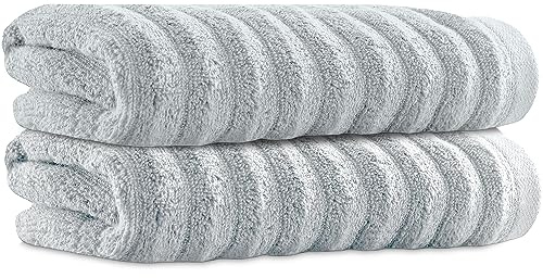 Towelogy Bamboo Hand Towels 2-Pack 50x80 cm Premium Quality Soft and Absorbent Towels for Hotel Spa Bathroom | OEKO-TEX CERTIFIED (2, Silver)