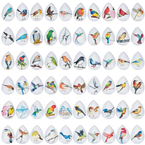 PH PandaHall 60 Styles 25mm Vogel Teardrop Glas Cabochons, Vogel gedruckt Wassertropfen Glas Cabochons Flatback Kuppel Cabochons Mosaik Kacheln für Frühling-Sommer-Anhänger Schmuckherstellung