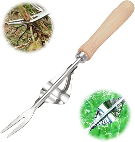 Générique Désherbeur Manuel en Acier Inoxydable avec Manche en Bois – Outil de Jardinage pour Creuser, Désherber et Transplanter Les Racines et Pissenlits (1PC)