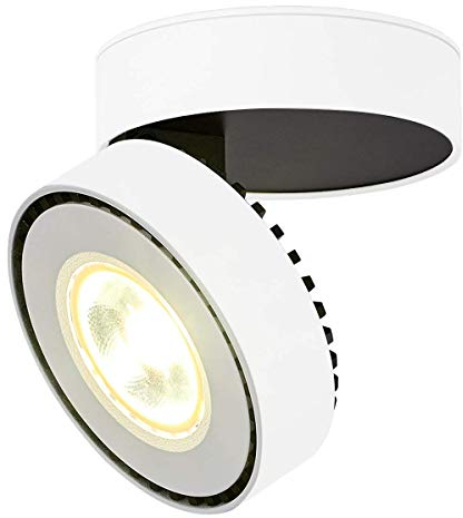 Dr.lazy Indoor 12W LED Adjustable Ceiling Spots Ceiling lamp Ceiling Light Spotlight Surface Mounted spotlights Downlight,10X10x6CM (White-4000K)