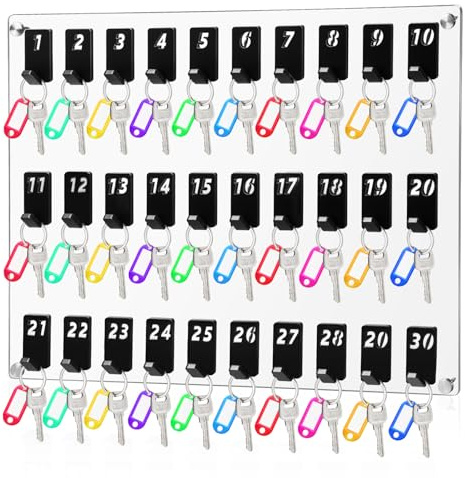 Beeveer Acrylic Key Board with 30 No. Hooks Wall Mount Key Rack Holder Hanger Storage Collection for School, Garage, Car Dealer, Office, Hotel, Real Estate(Transparent)