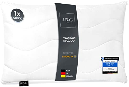 LILENO HOME Juego de 1 relleno de cojín de 40 x 60 cm, cojín interior acolchado de 40 x 60 cm, para alérgicos, funda de microfibra como cojín de sofá, decoración y cojín de sillón, lavable a 40 °C