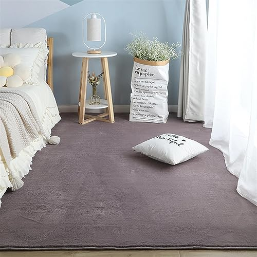 ZWPILY Hochflor Teppich, Einfarbig, Flauschiger Langflor Teppich, Shaggy Flokati, Rechteckig, Pflegeleicht, Wohnzimmerteppich - Fellteppich - Modern Kunstfell Carpet für Schlafzimmer,Lila,120x170 cm