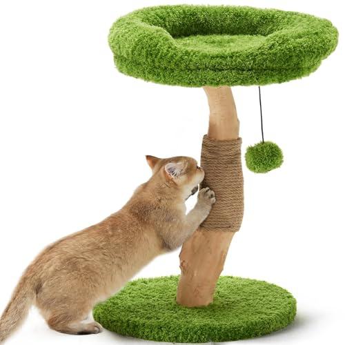 FUKUMARU Kratzbaum Katzen, 51 cm Katzenbaum aus einzigartigem Massivholz, mit Jutesäule und gemütliche Liegefläche, für kleine & große Katzen bis zu 3.3 kg