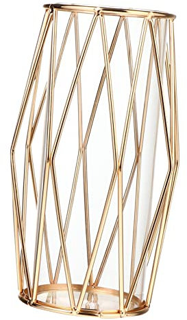 CORHAD 1Stk Transparente Vase aus Schmiedeeisen Tischdekoration klare Ornamente Rosenpflanze einmachgläser Blumenvase blumentopf Container Topf für Wasserpflanzen Wasserpflanzgefäß Glas