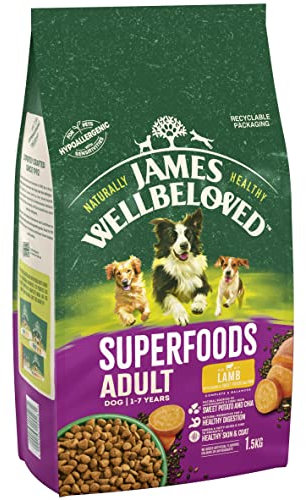 James Wellbeloved Adult Superfoods 1.5 kg Bag, Hypoallergenic Dry Dog Food, Lamb with Sweet Potato & Chia